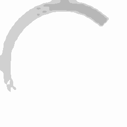 Raghav