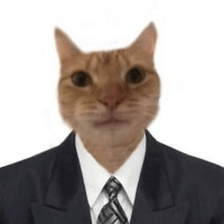 harddihfortrans